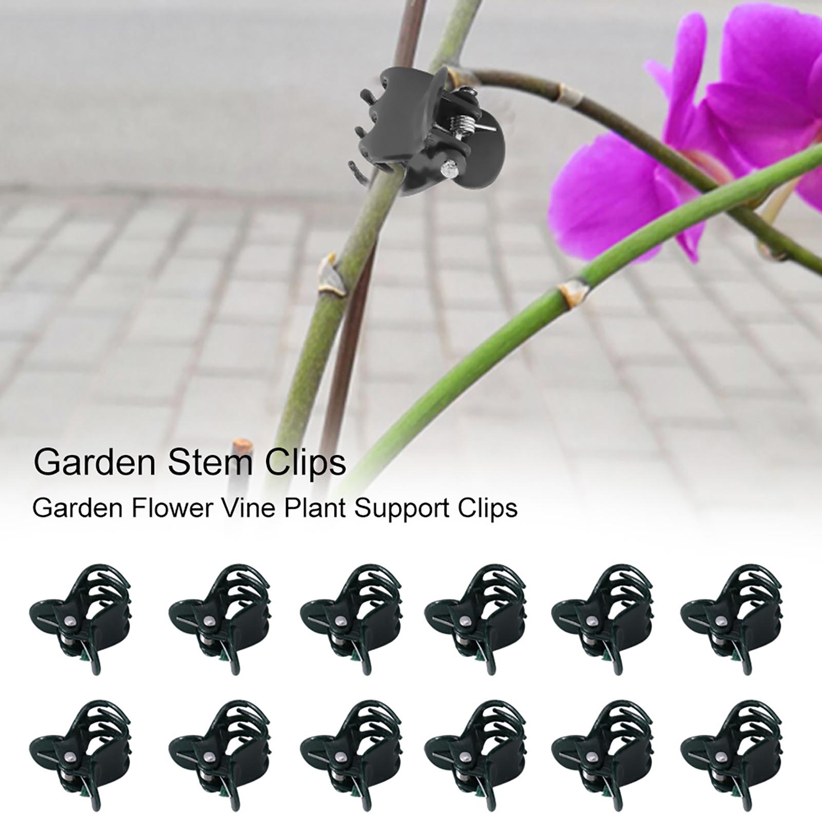 Supply For Florist - 100 Stück Mini-Pflanzenklammern für Gartenblumen, Pflanzenunterstützung