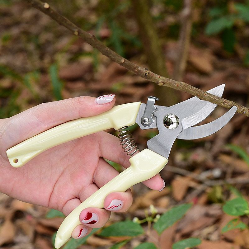 Supply For Florist - Arbeitssparende Gartenschere, Professioneller Handschneider für Äste,