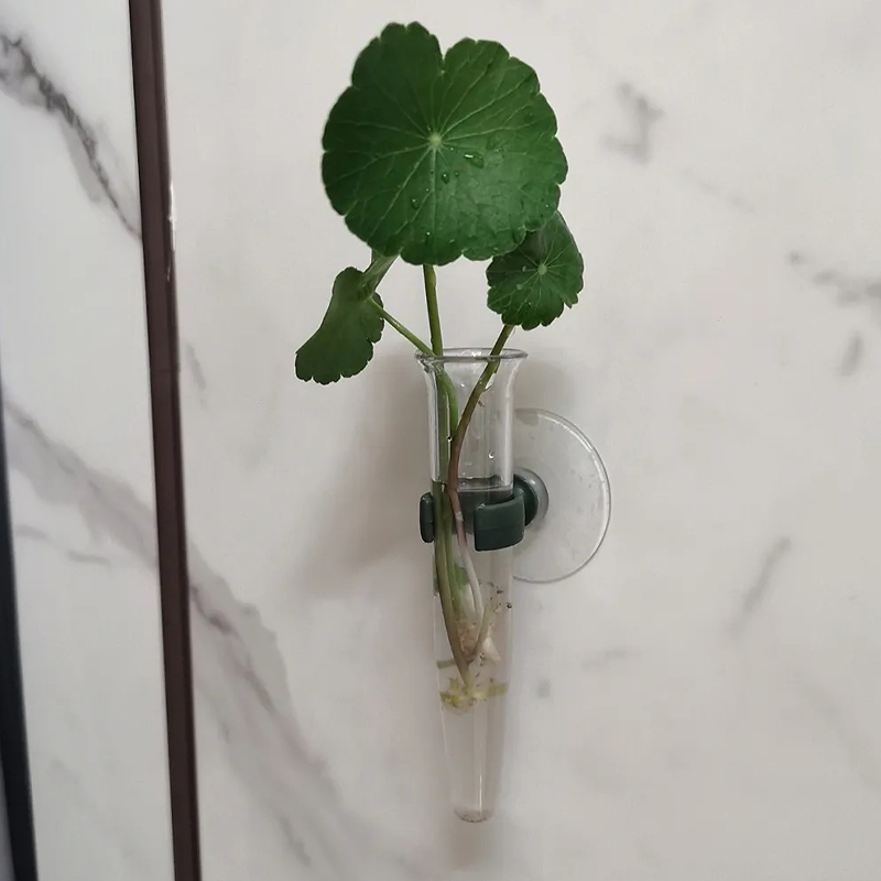 11cm Blumen-Wasserröhrchen Kun – Florist Flower Supply Bewertung und Preis