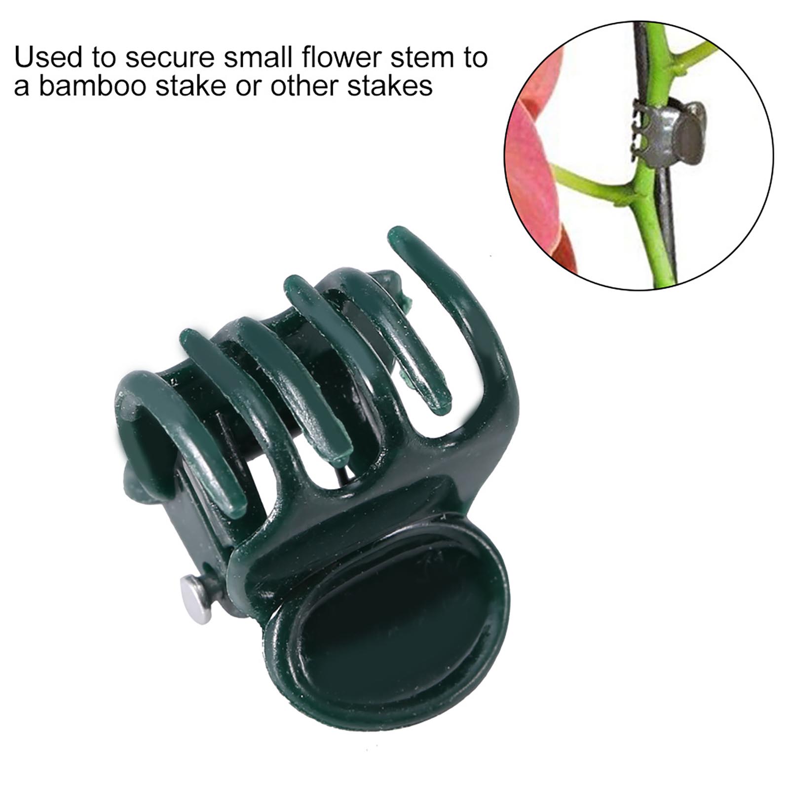 100 Stück Mini-Pflanzenklammer – Supply For Florist Bewertung und Preis