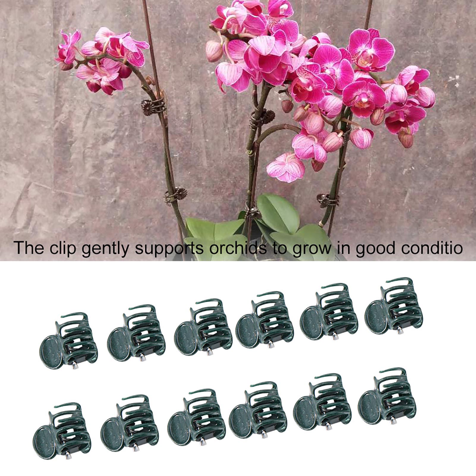 100 Stück Mini-Pflanzenklammer – Supply For Florist Bewertung und Preis
