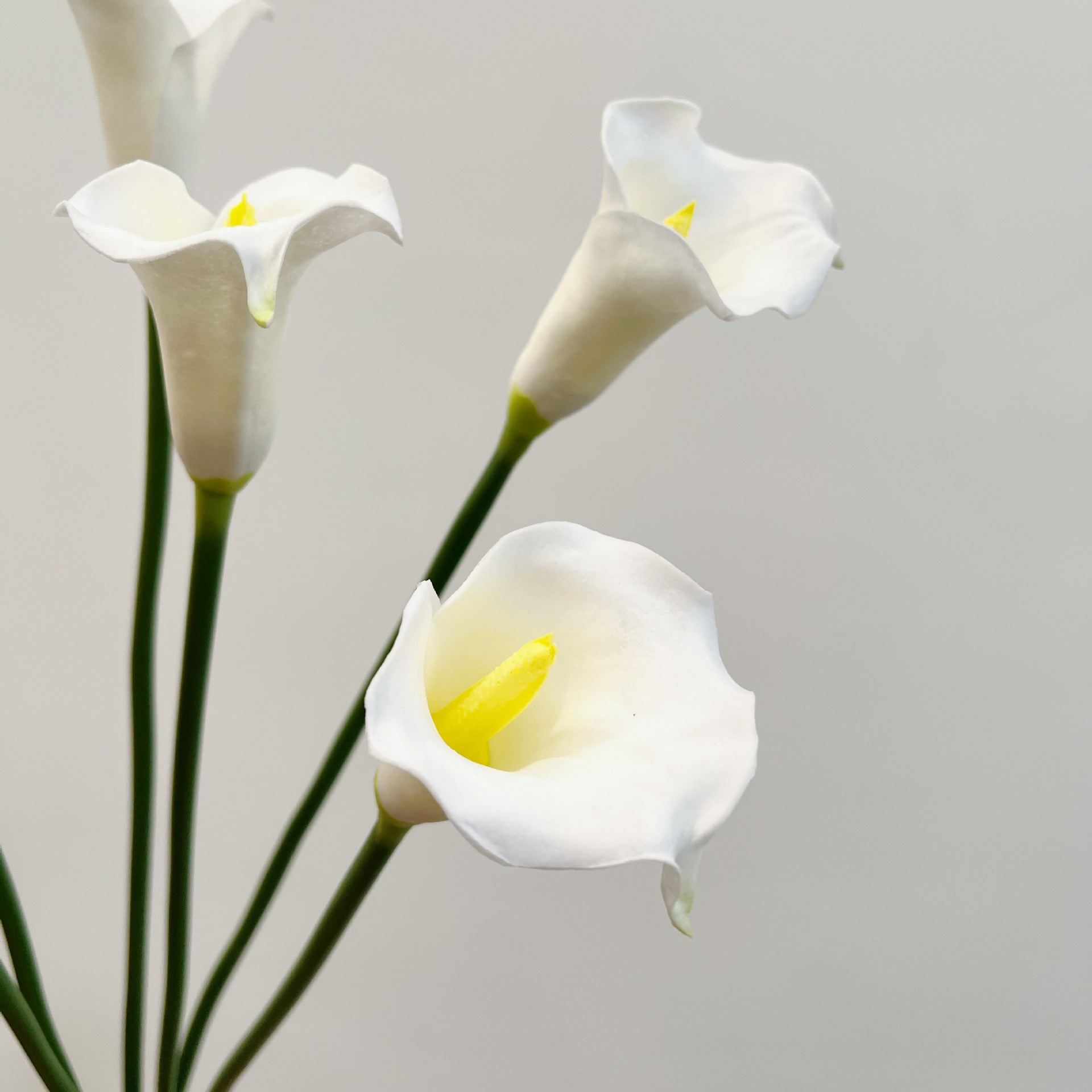 26 Zoll Einzelstiel Halbmond-K – Supply For Florist Bewertung und Preis